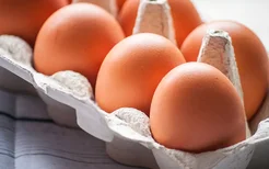 胆固醇高能吃鸡蛋吗？,胆固醇患者的饮食禁忌有哪些