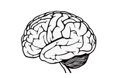 脑出血分哪几种,脑出血主要分为四大类
