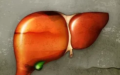 脂肪肝的病理生理学原因是什么？脂肪变性的发病机制是什么？