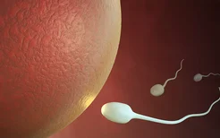 男性备孕时精子质量必须高吗？提高精子质量可补充这五种营养