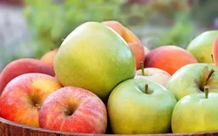 月经期间能不能吃苹果,月经期间哪些食物不能吃
