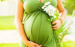 女性哺乳期可以服用板蓝根吗？哺乳期需要补充哪些营养？