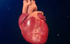 治疗心律失常的药物有哪些？治疗心律失常的首选药物是什么？