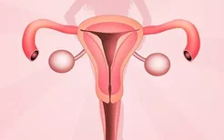 哪些女性更容易出现卵巢早衰？这四类女性更易出现卵巢早衰
