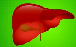 脂肪肝和脂肪性肝炎的区别