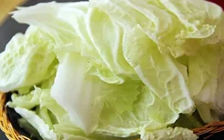 白菜能预防肠癌 大白菜的日常做法